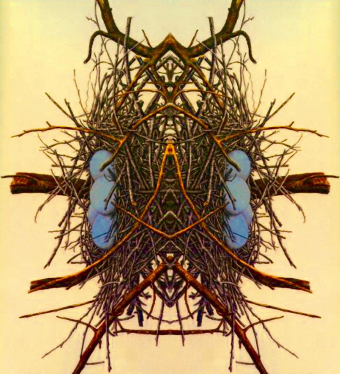 The Sky Inside Your Eyes