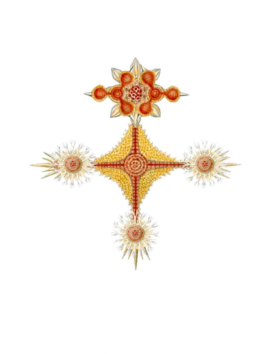 The Retreat of Lightning