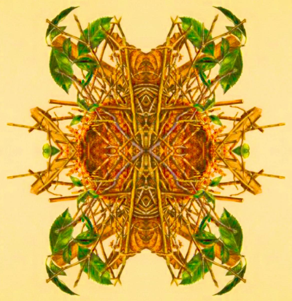 Silence Keeps Its Kisses Ready