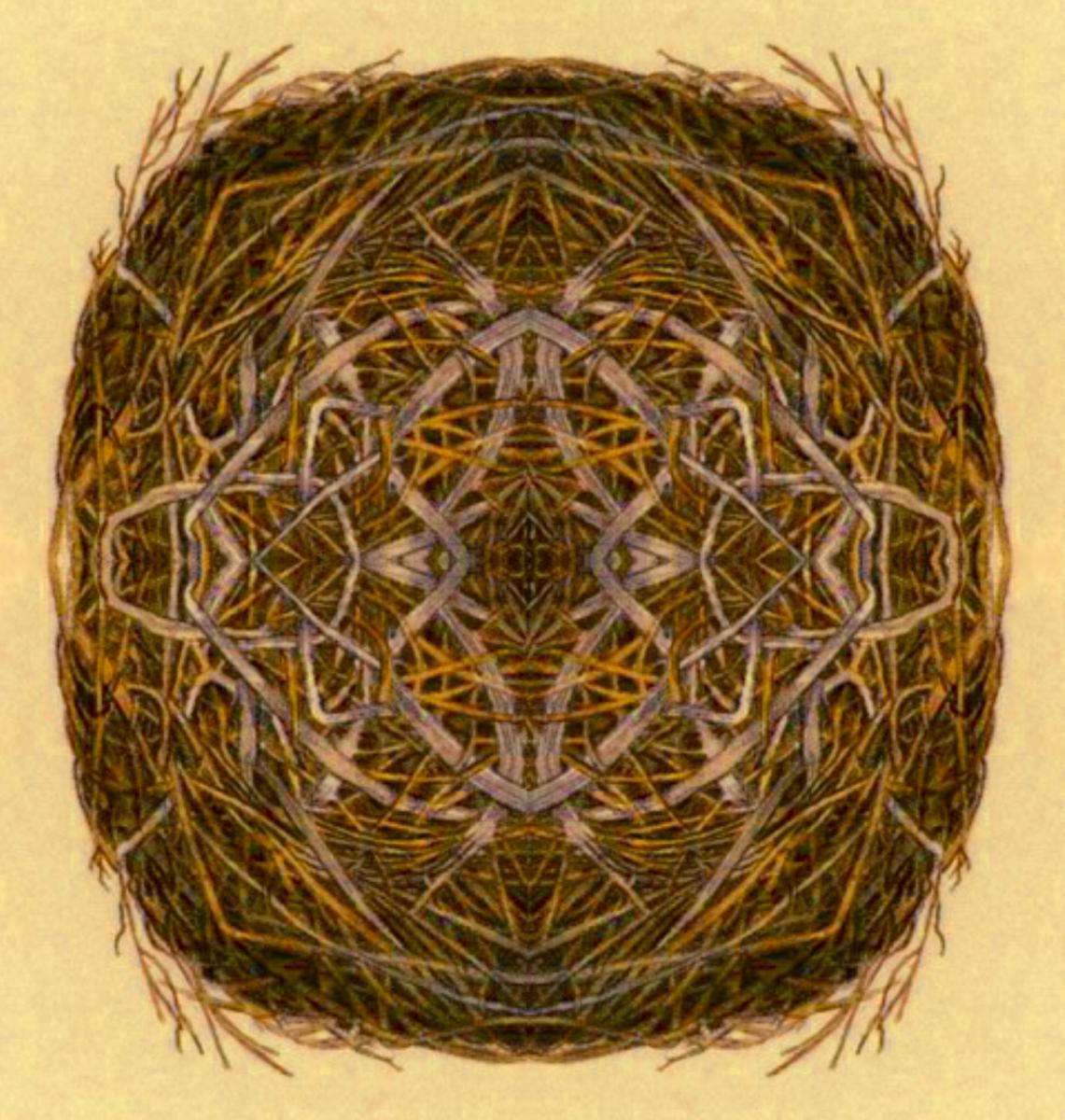 Last Traces of Delight